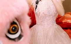 东京不太热视频在线观看